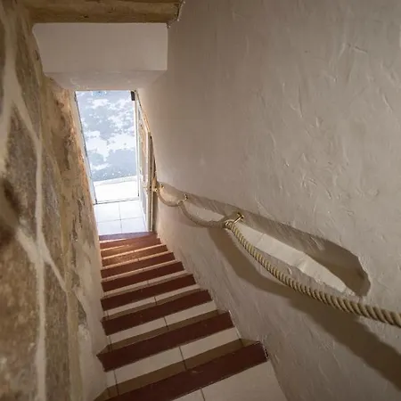 L'hippocampe * Bouzigues